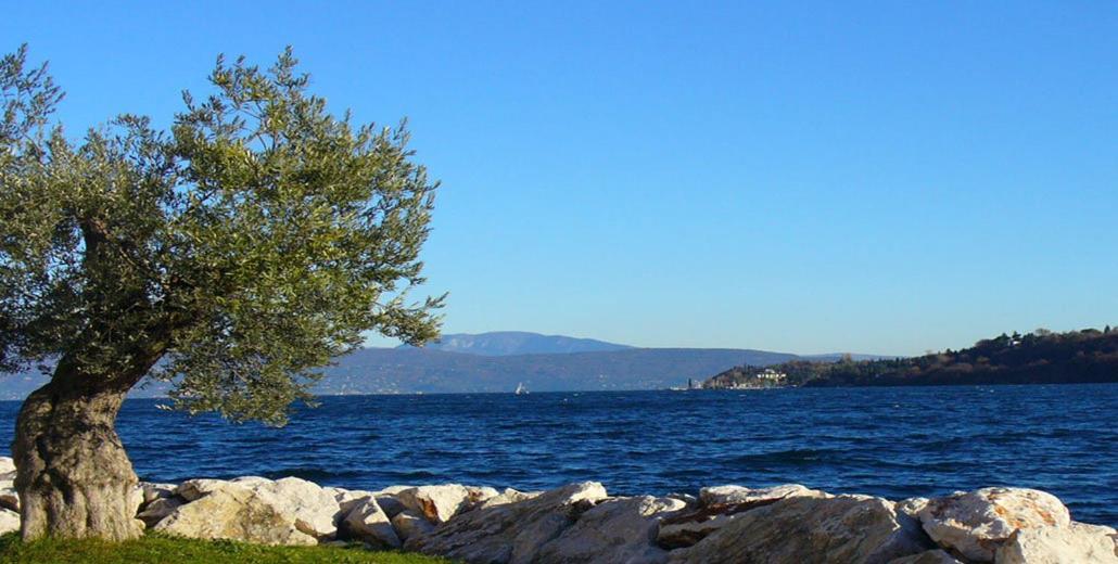 Agriturismo Villa Bissiniga Salò Eksteriør billede
