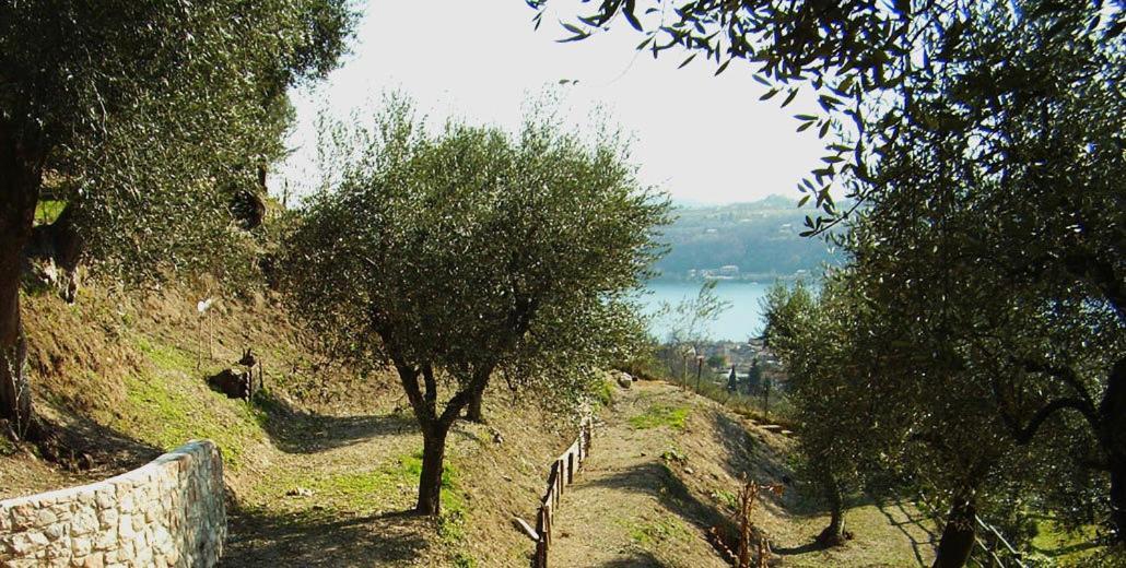 Agriturismo Villa Bissiniga Salò Eksteriør billede